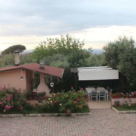 B&B La Terrazza Di Frascati Exterior foto