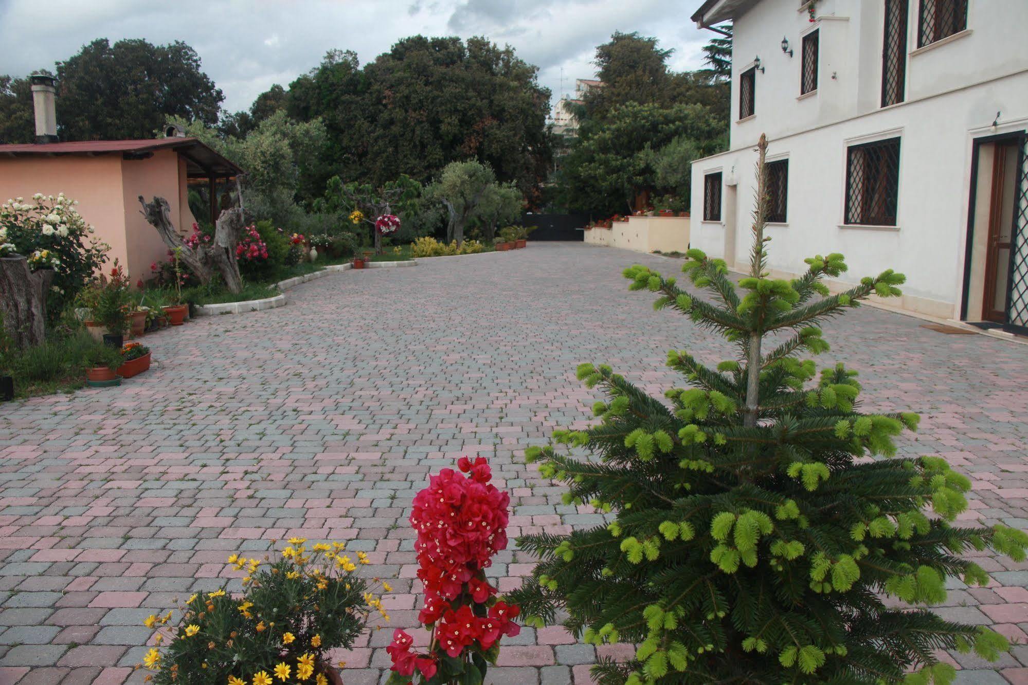 B&B La Terrazza Di Frascati Exterior foto